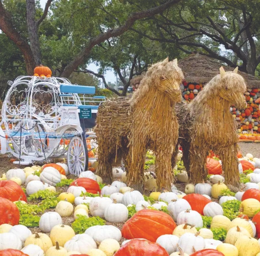 A fall festival display of two large straw horses beside a white Cinderella-style carriage, surrounded by orange, white and yellow pumpkins.