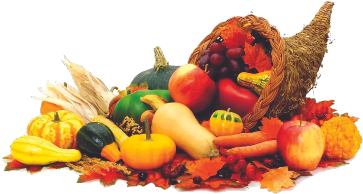 A woven cornucopia spilling over with squash, gourds, pumpkins, apples, grapes, carrots and autumn leaves.